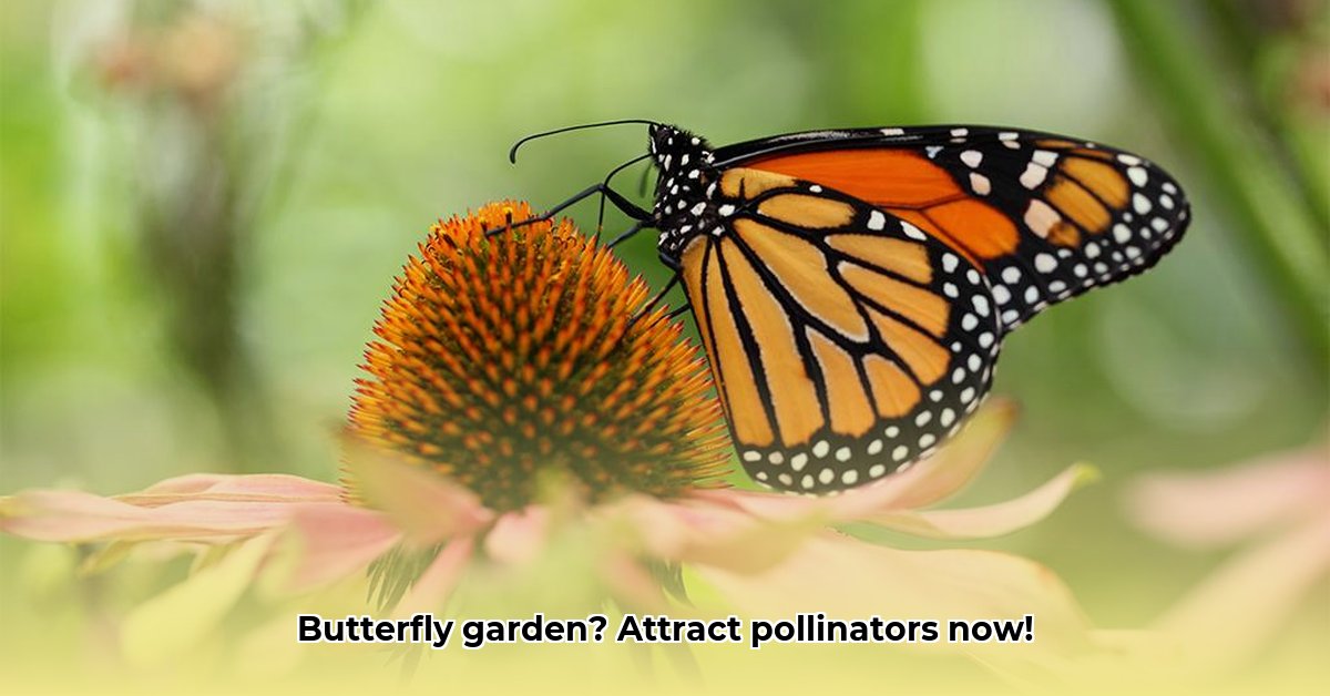 attract-pollinators-with-butterfly-flowers